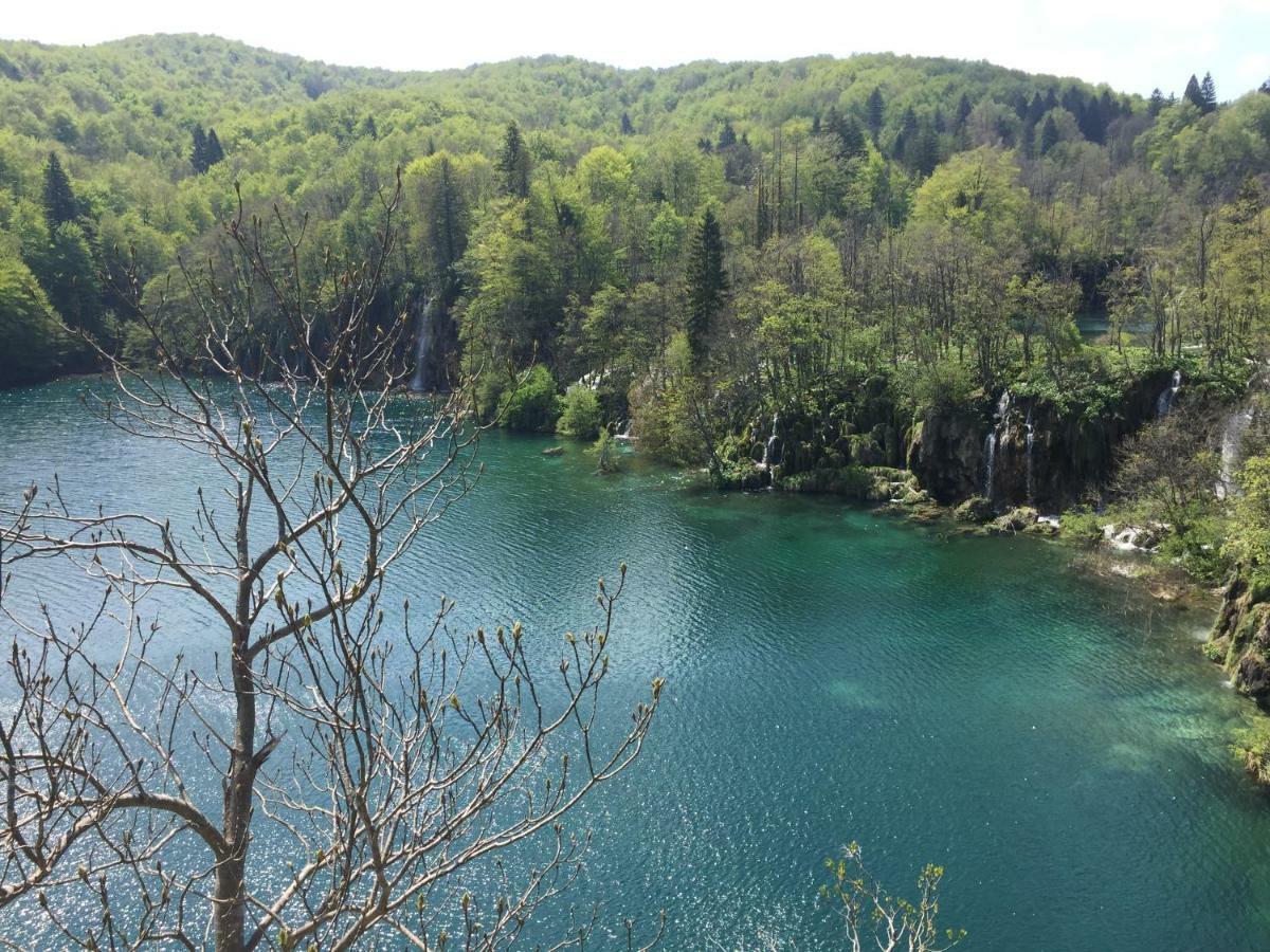 Plitvice Hilltop Apartment Donji Vaganac Bagian luar foto