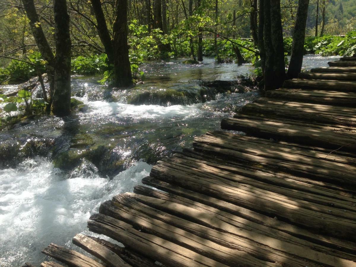 Plitvice Hilltop Apartment Donji Vaganac Bagian luar foto